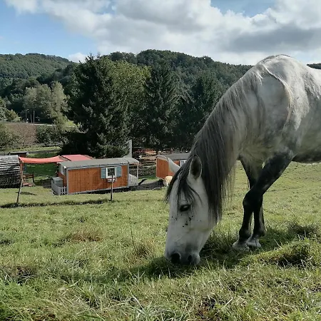 Zurueck Zur - Urlaub Im Zirkuswagen, Sommeratelier Oder Schindelwagen * Adenbach