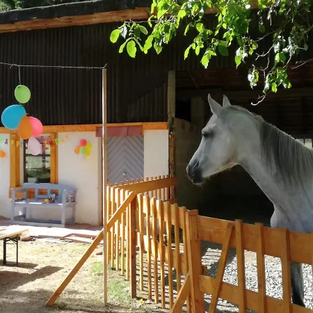 Apartmán Zurueck Zur - Urlaub Im Zirkuswagen, Sommeratelier Oder Schindelwagen *