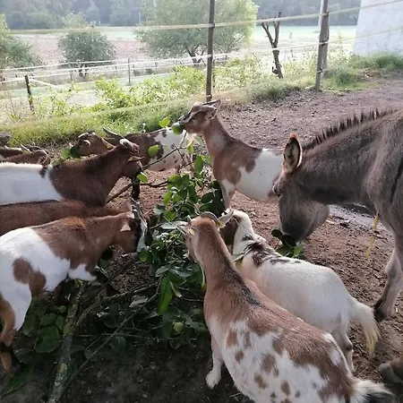 Apartment Zurueck Zur - Urlaub Im Zirkuswagen, Sommeratelier Oder Schindelwagen