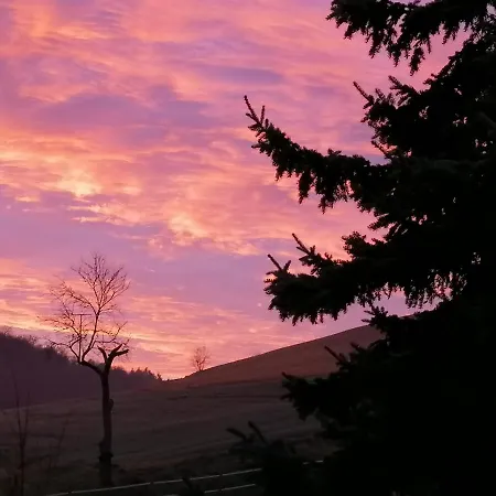 Apartment Zurueck Zur - Urlaub Im Zirkuswagen, Sommeratelier Oder Schindelwagen Adenbach