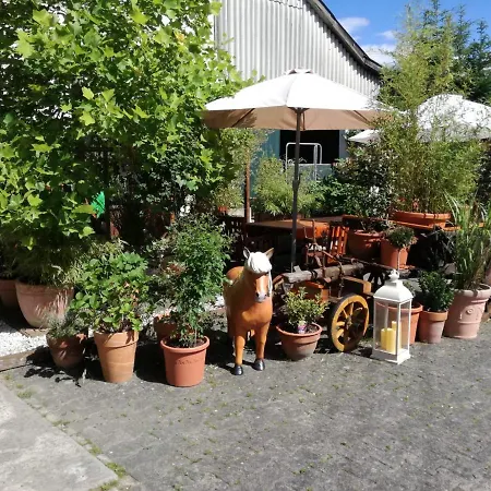 Zurueck Zur - Urlaub Im Zirkuswagen, Sommeratelier Oder Schindelwagen * Adenbach