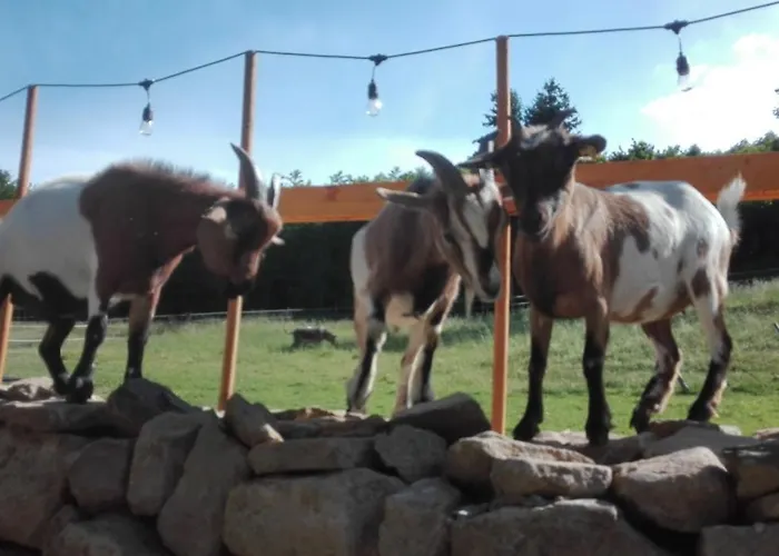 Lägenhet Zurueck Zur - Urlaub Im Zirkuswagen, Sommeratelier Oder Schindelwagen
