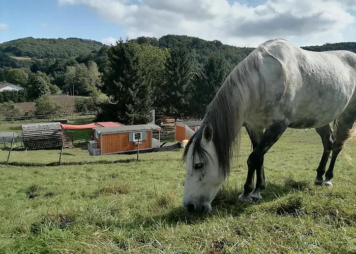 Zurueck Zur - Urlaub Im Zirkuswagen, Sommeratelier Oder Schindelwagen * Adenbach