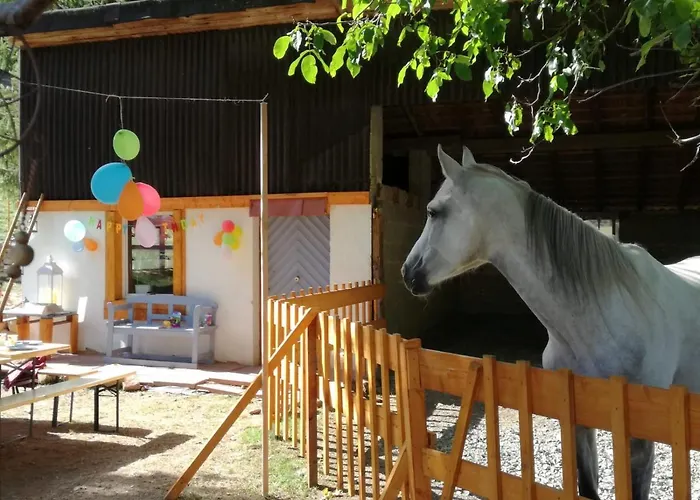 Lägenhet Zurueck Zur - Urlaub Im Zirkuswagen, Sommeratelier Oder Schindelwagen *