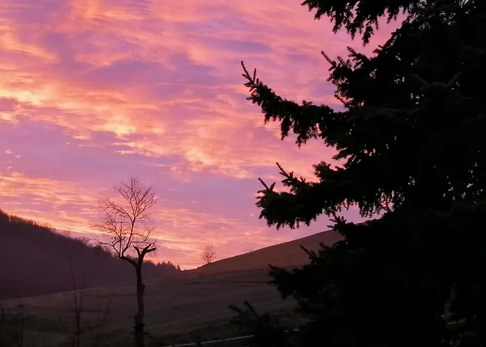 Апартаменты Zurueck Zur - Urlaub Im Zirkuswagen, Sommeratelier Oder Schindelwagen Adenbach