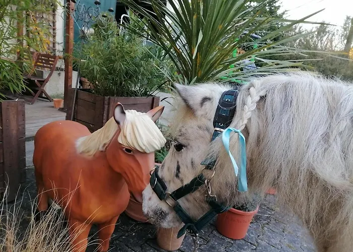 Zurueck Zur - Urlaub Im Zirkuswagen, Sommeratelier Oder Schindelwagen Lägenhet Adenbach