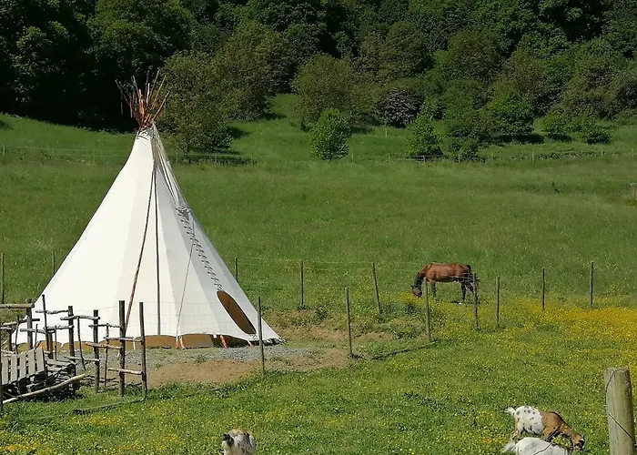 Lägenhet Zurueck Zur - Urlaub Im Zirkuswagen, Sommeratelier Oder Schindelwagen *
