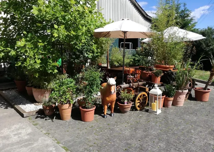 Zurueck Zur - Urlaub Im Zirkuswagen, Sommeratelier Oder Schindelwagen * Adenbach